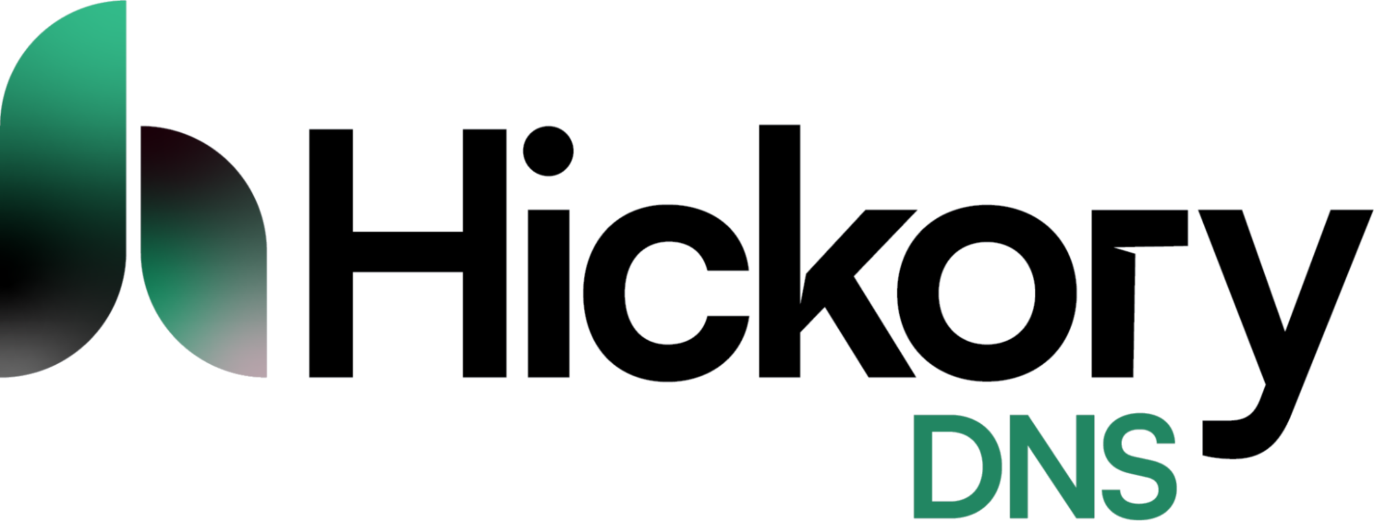 Hickory DNS logo